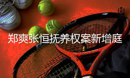 会议庭前间为新增郑爽张恒一小权案 时时抚养